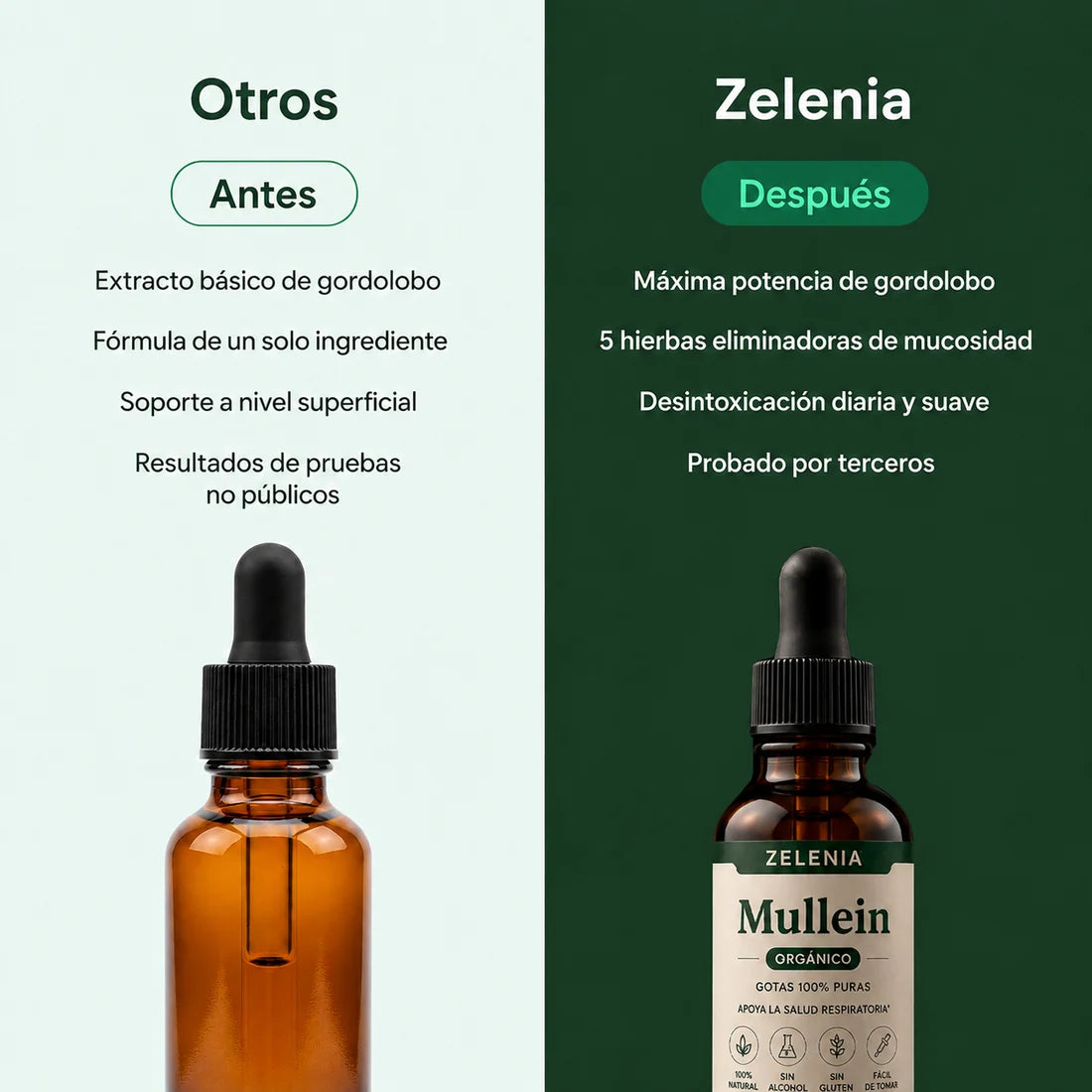 MULLEIN | Respirá con más libertad. Viví cada día con más confianza.