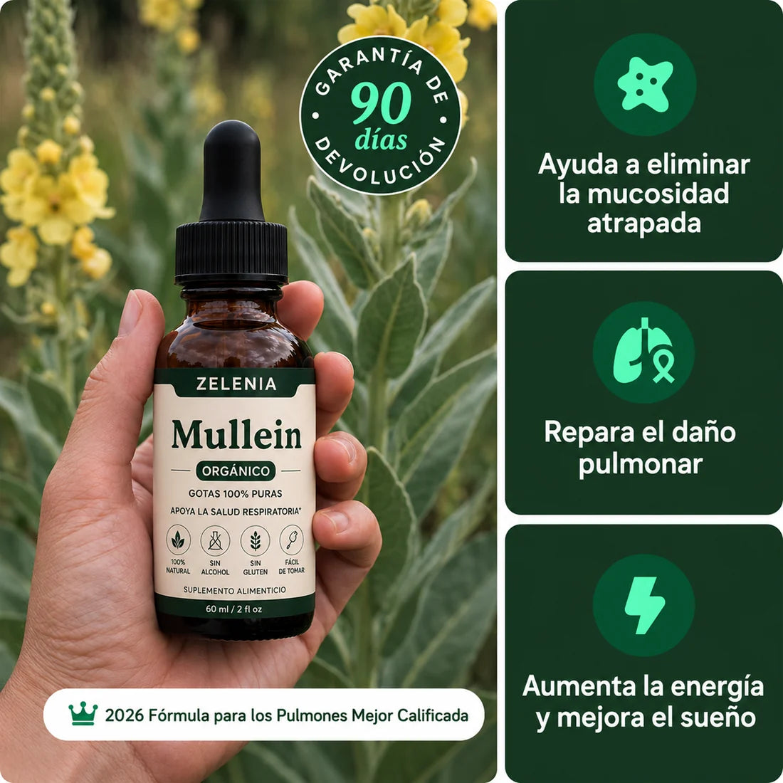 MULLEIN | Respirá con más libertad. Viví cada día con más confianza.